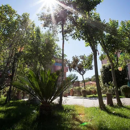 Criro Marina Palmense