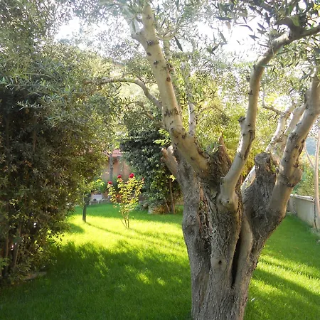 Criro מלון דירות מרינה פלמנזה